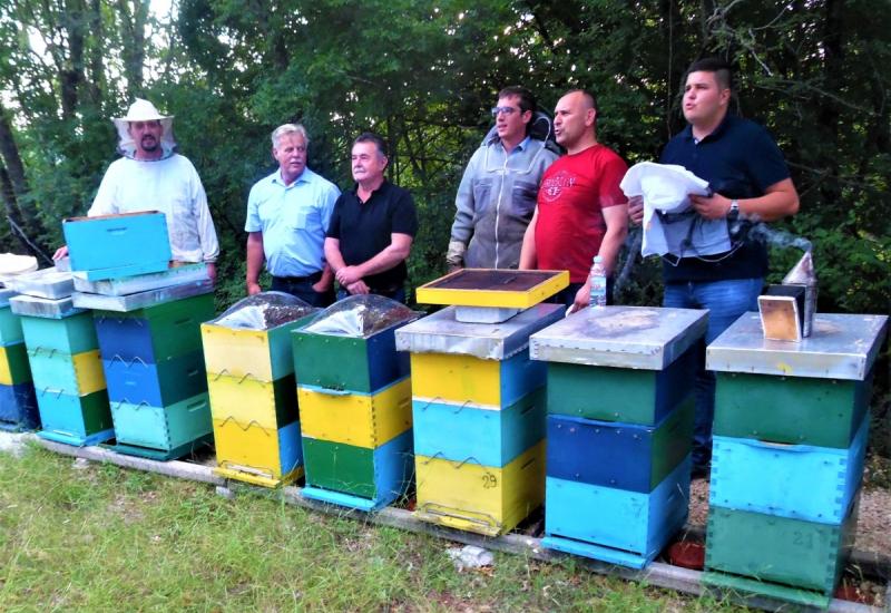 Bh. pčelari počinju sa proizvodnjom pčelinjeg otrova - Bh. pčelari počinju sa proizvodnjom pčelinjeg otrova